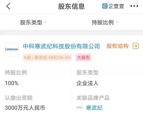 寒武紀(jì)南京新公司成立，強(qiáng)化人工智能軟件開(kāi)發(fā)布局